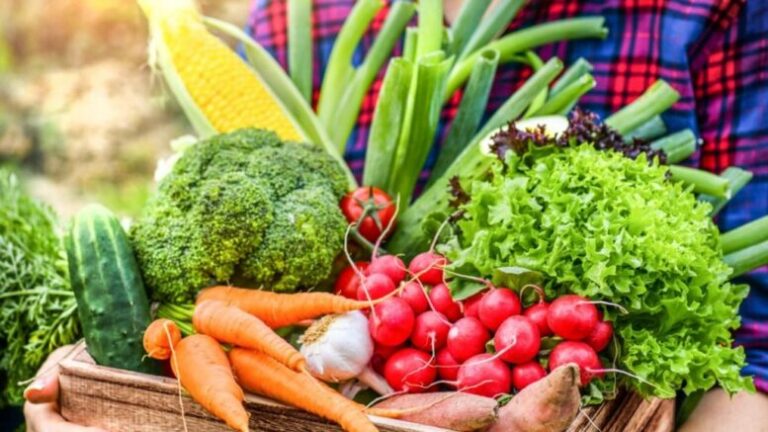 Self-Sufficiency: America’s Do-or-Die Fight for Survival!