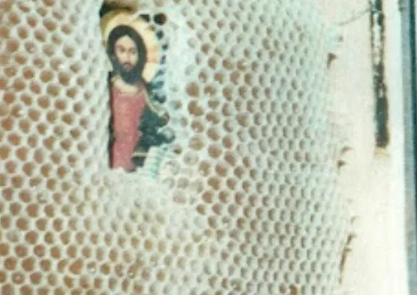 Bees Respect Icons: Divine Mystery or Scientific Fluke?
